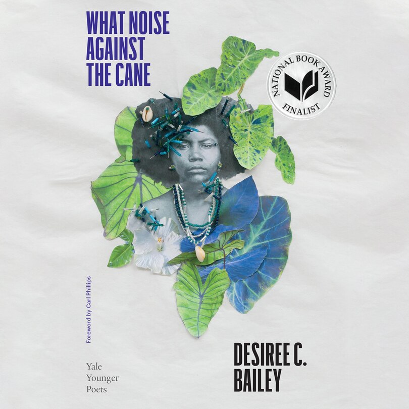 Front cover_What Noise Against the Cane