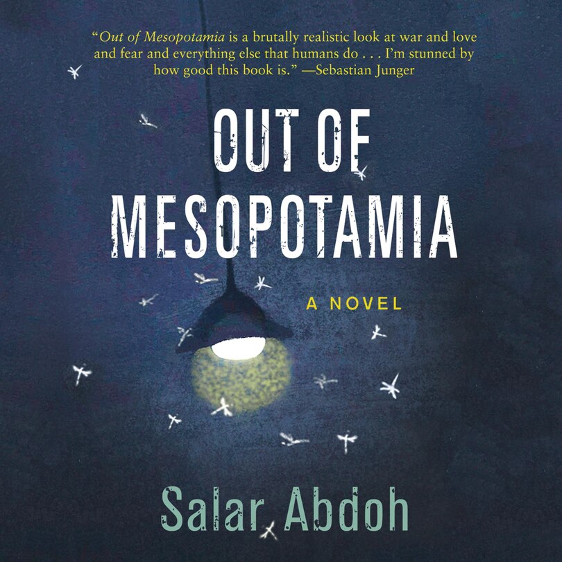 Front cover_Out of Mesopotamia