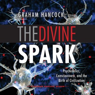 Front cover_The Divine Spark