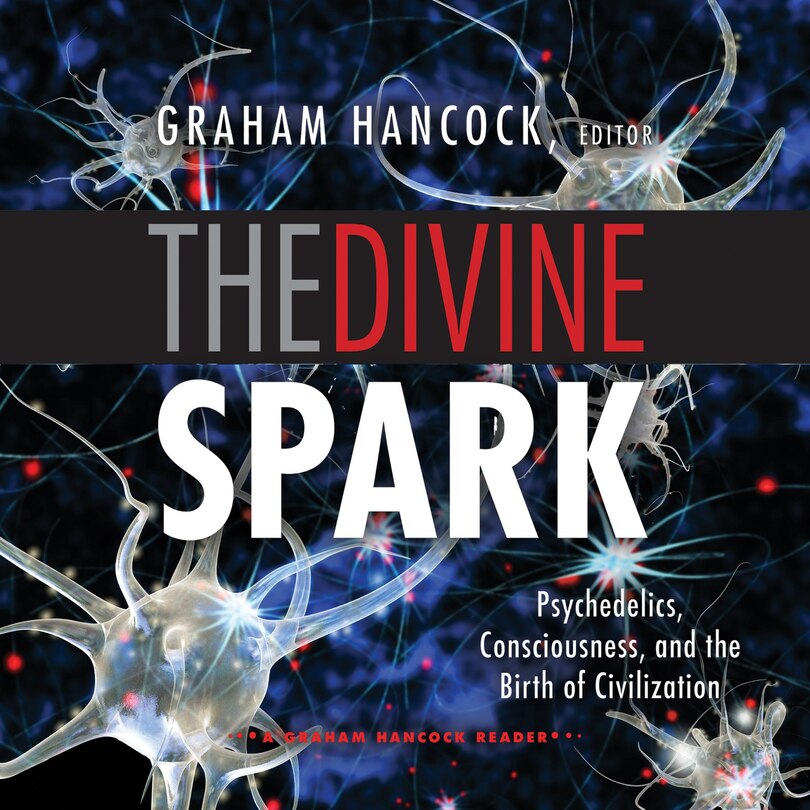 Front cover_The Divine Spark
