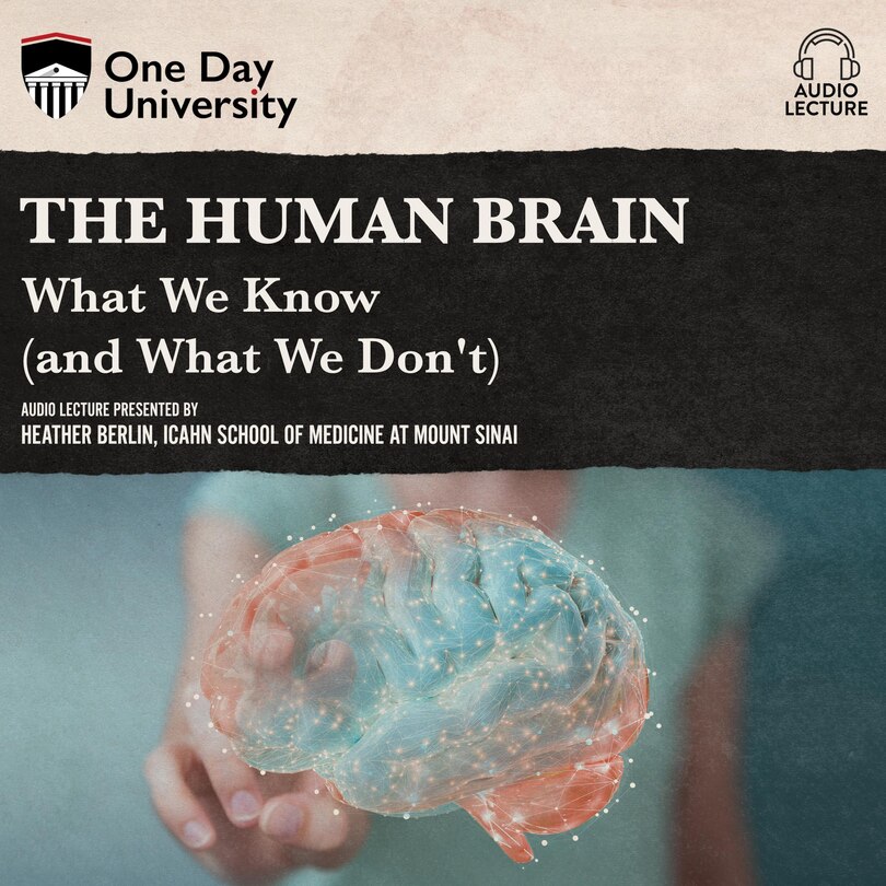 Front cover_The Human Brain
