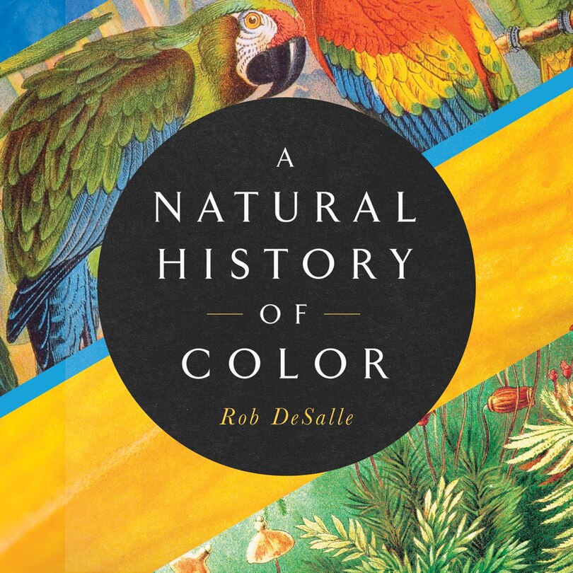Front cover_A Natural History of Color