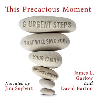 Couverture_This Precarious Moment