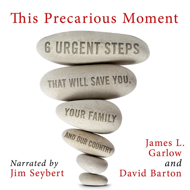 Couverture_This Precarious Moment