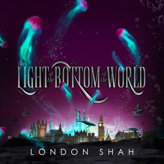 Front cover_The Light at the Bottom of the World