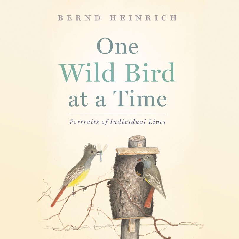 Couverture_One Wild Bird at a Time