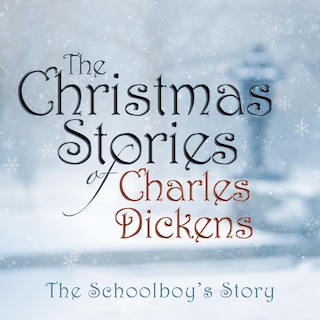 Front cover_The Schoolboy's Story
