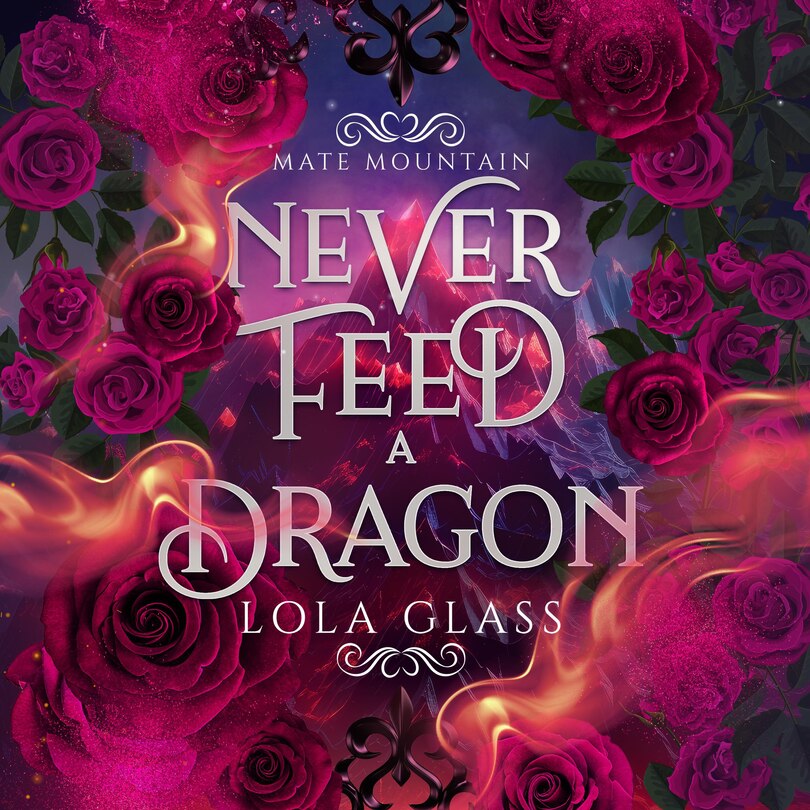 Front cover_Never Feed a Dragon