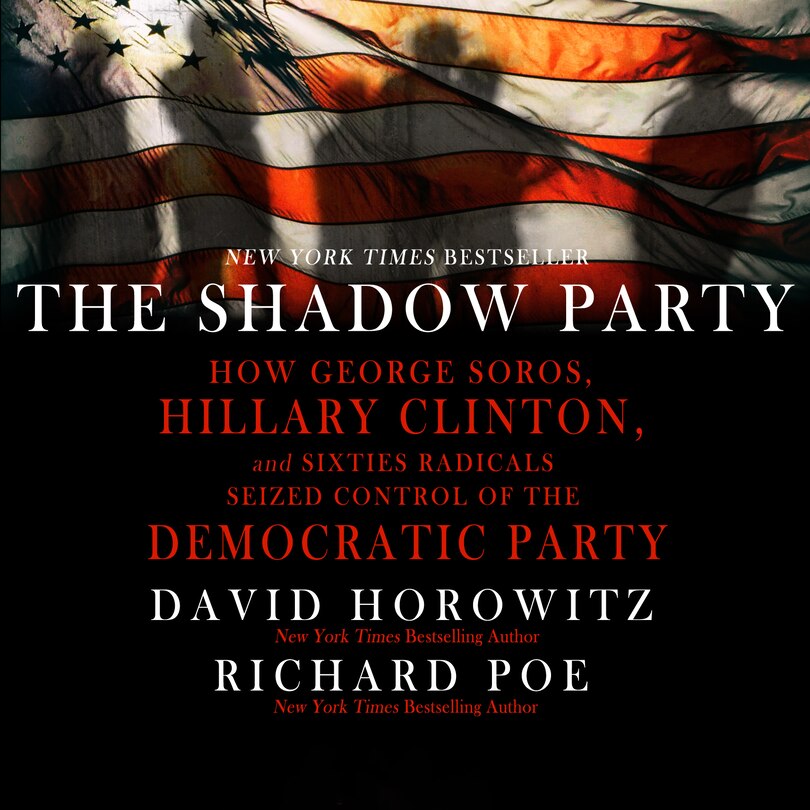 Front cover_The Shadow Party
