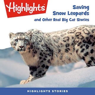 Saving Snow Leopards and Other Real Big Cat  Stories