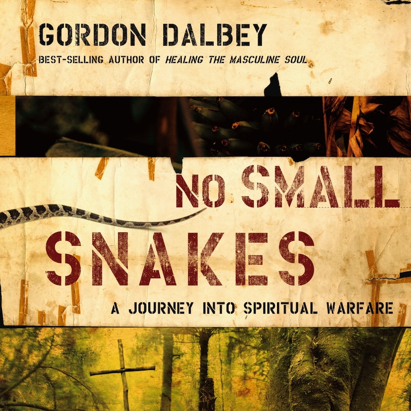 Front cover_No Small Snakes