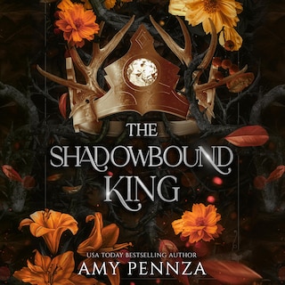 Front cover_The Shadowbound King