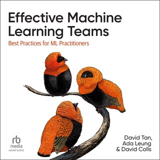 Front cover_Effective Machine Learning Teams