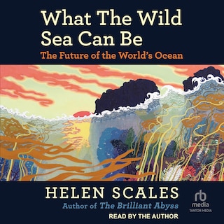 Front cover_What the Wild Sea Can Be