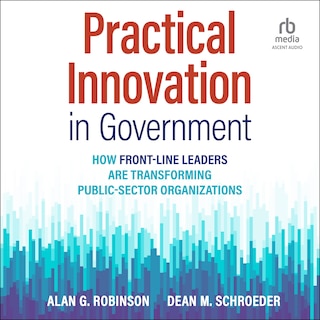 Front cover_Practical Innovation in Government