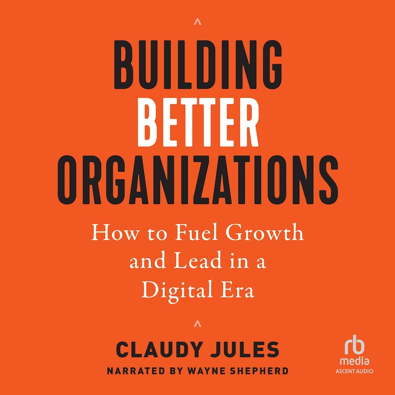 Front cover_Building Better Organizations