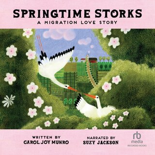 Front cover_Springtime Storks