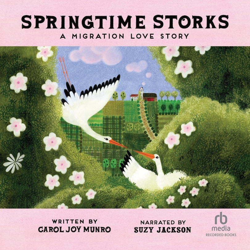 Front cover_Springtime Storks