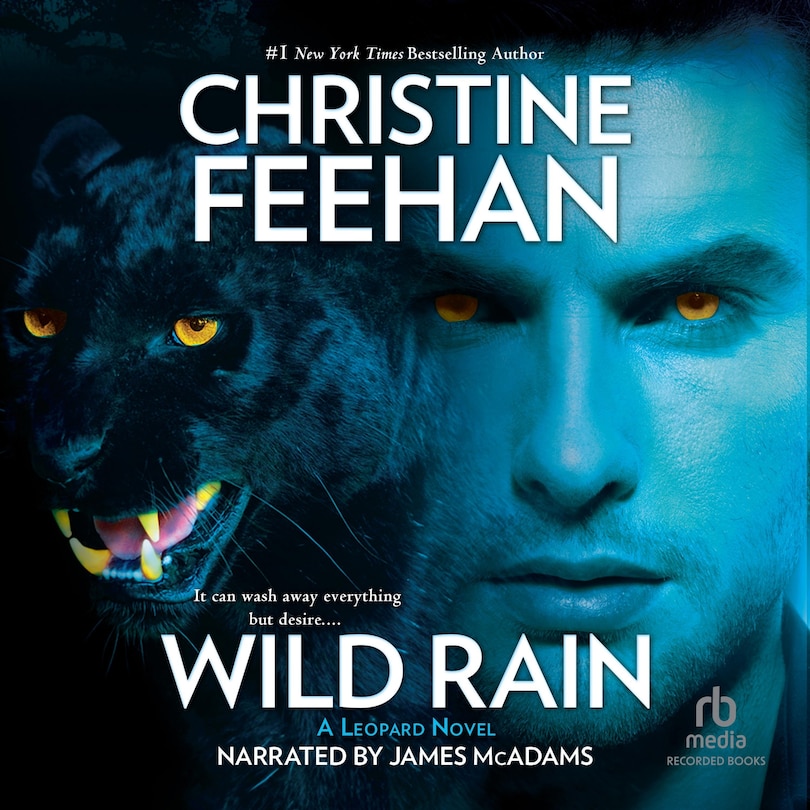 Couverture_Wild Rain