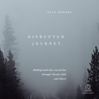 Front cover_Disrupted Journey