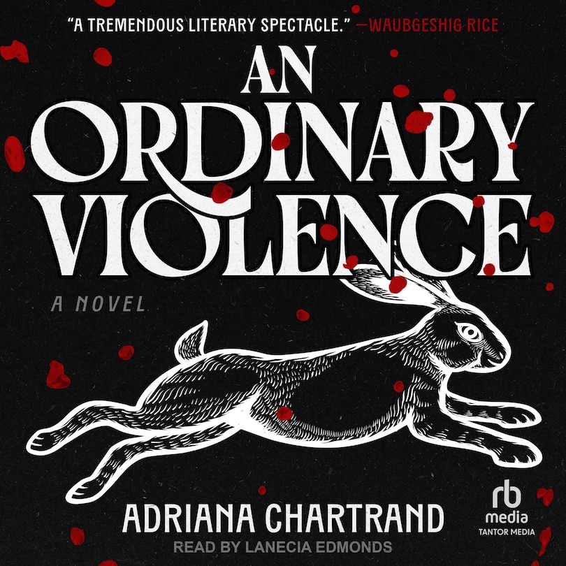 Front cover_An Ordinary Violence