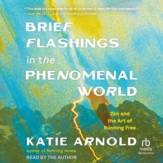 Front cover_Brief Flashings in the Phenomenal World