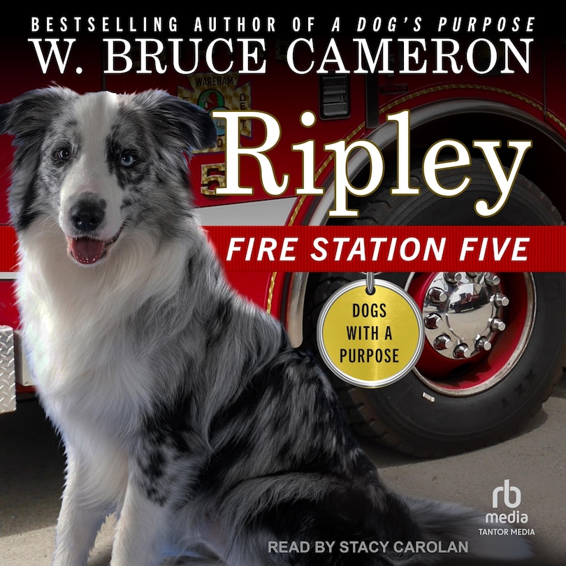 Front cover_Ripley
