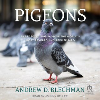 Couverture_Pigeons