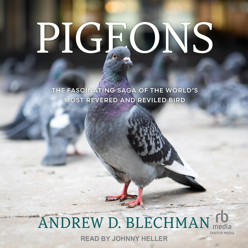 Couverture_Pigeons
