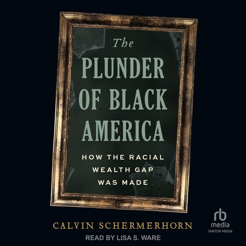 Front cover_The Plunder of Black America