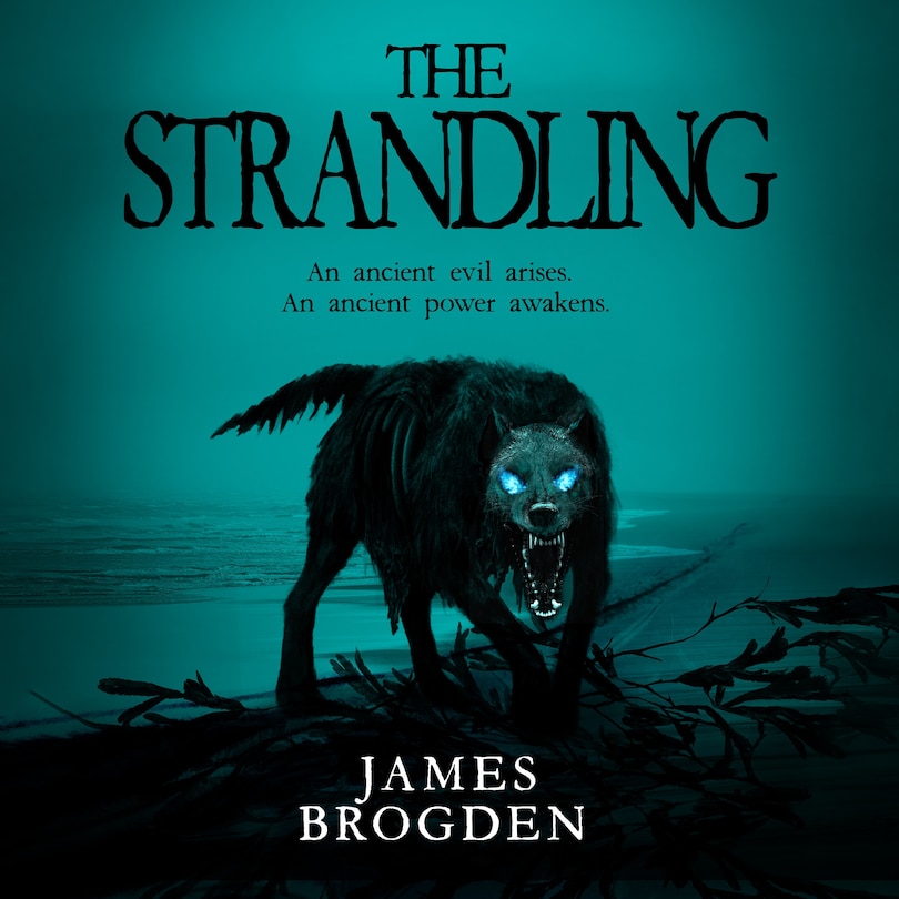 Front cover_The Strandling