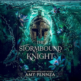 Front cover_The Stormbound Knight