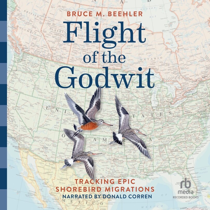Couverture_Flight of the Godwit