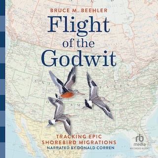 Front cover_Flight of the Godwit