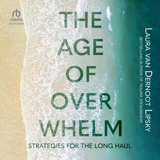 Front cover_The Age of Overwhelm