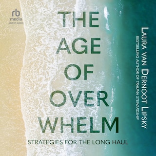 Front cover_The Age of Overwhelm