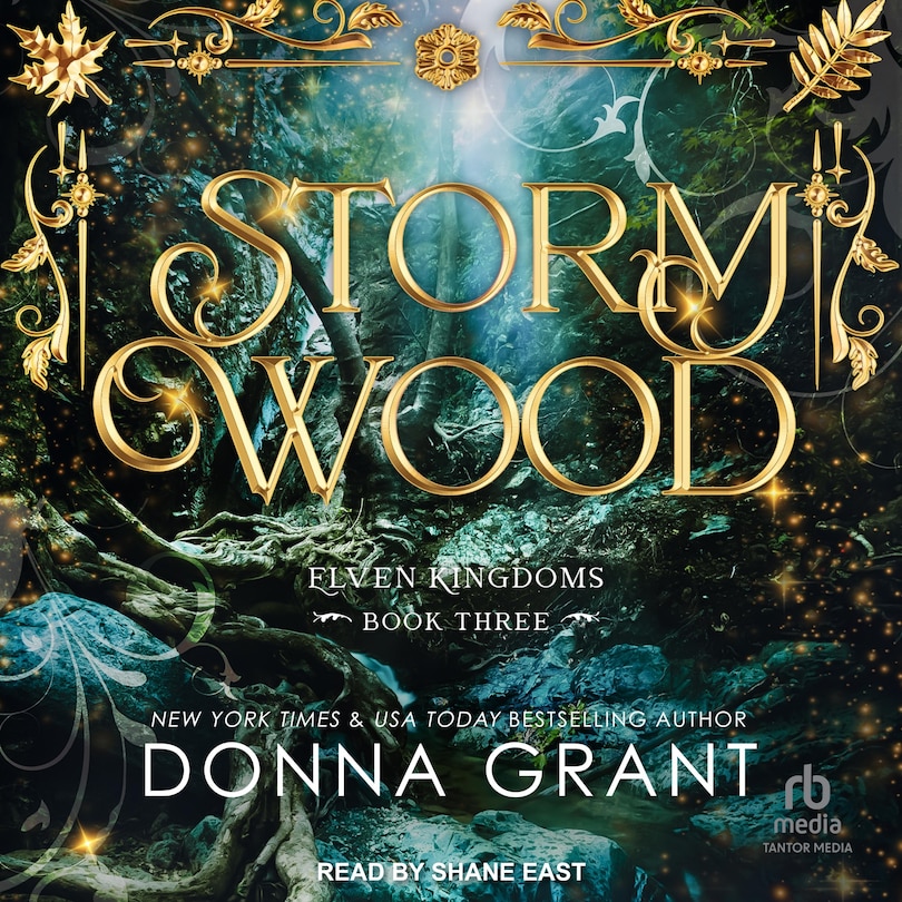 Couverture_Storm Wood