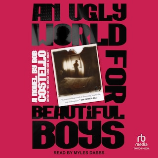 Couverture_An Ugly World for Beautiful Boys