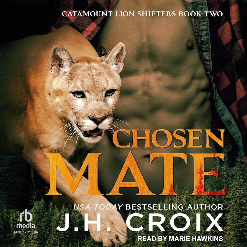 Couverture_Chosen Mate
