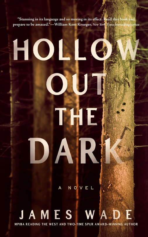 Couverture_Hollow Out the Dark