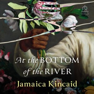 Front cover_At the Bottom of the River