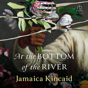 Front cover_At the Bottom of the River