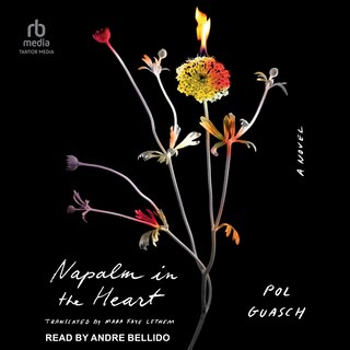 Couverture_Napalm in the Heart