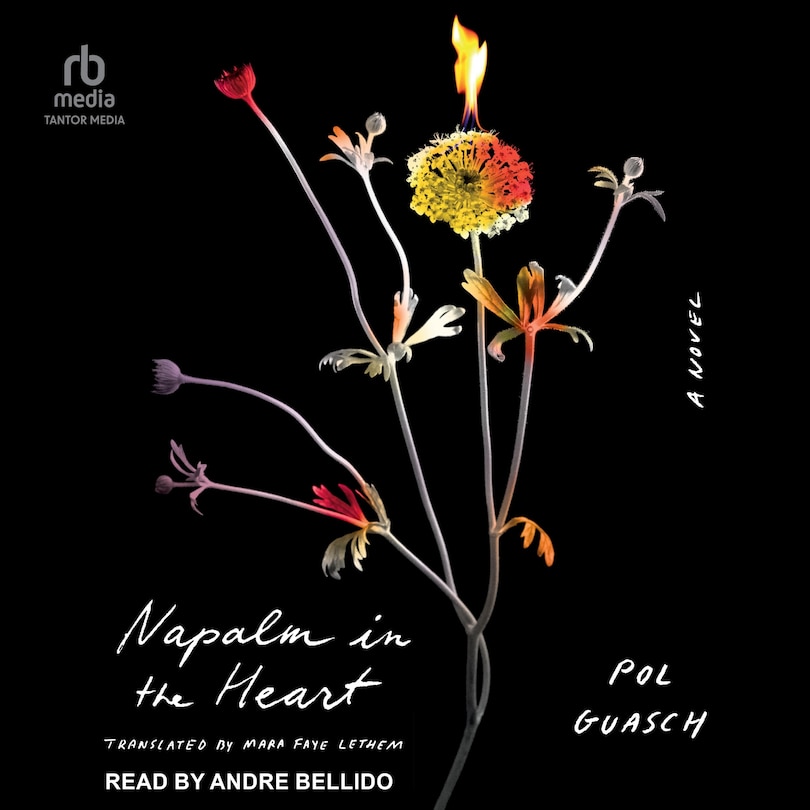 Couverture_Napalm in the Heart