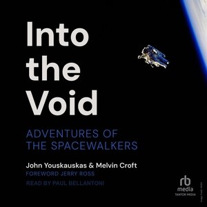 Couverture_Into the Void