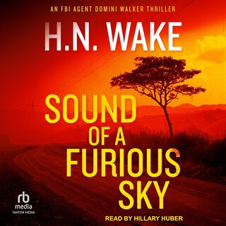 Couverture_Sound of a Furious Sky