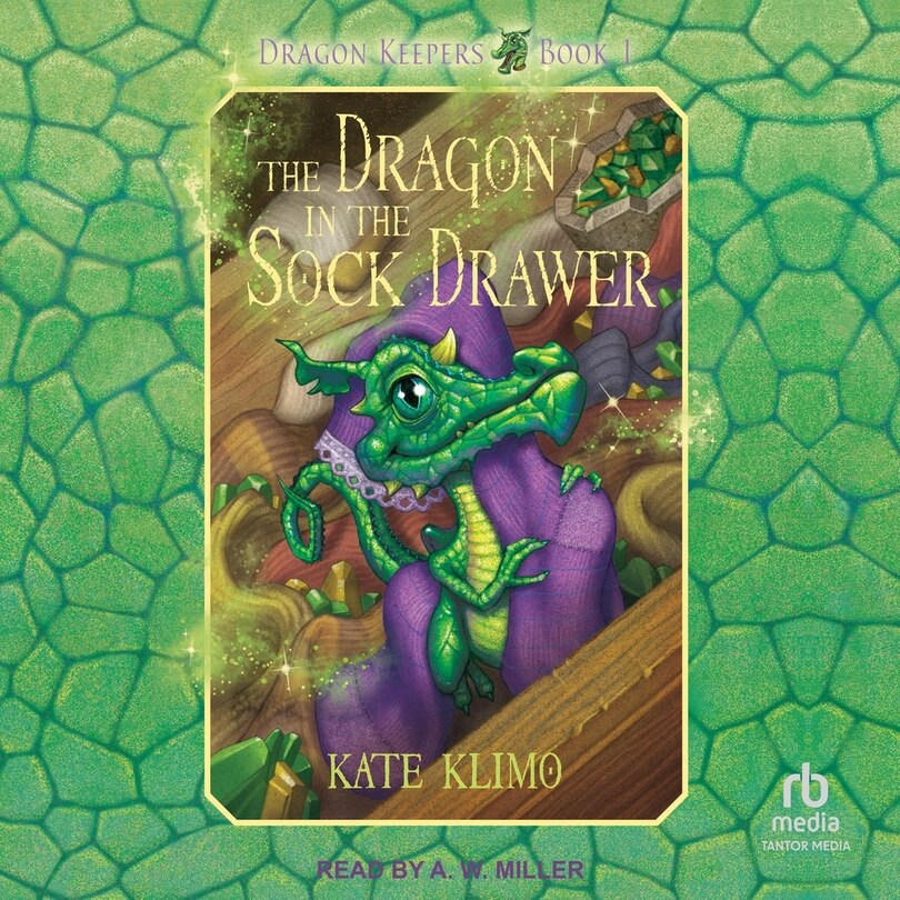 Couverture_The Dragon in the Sock Drawer