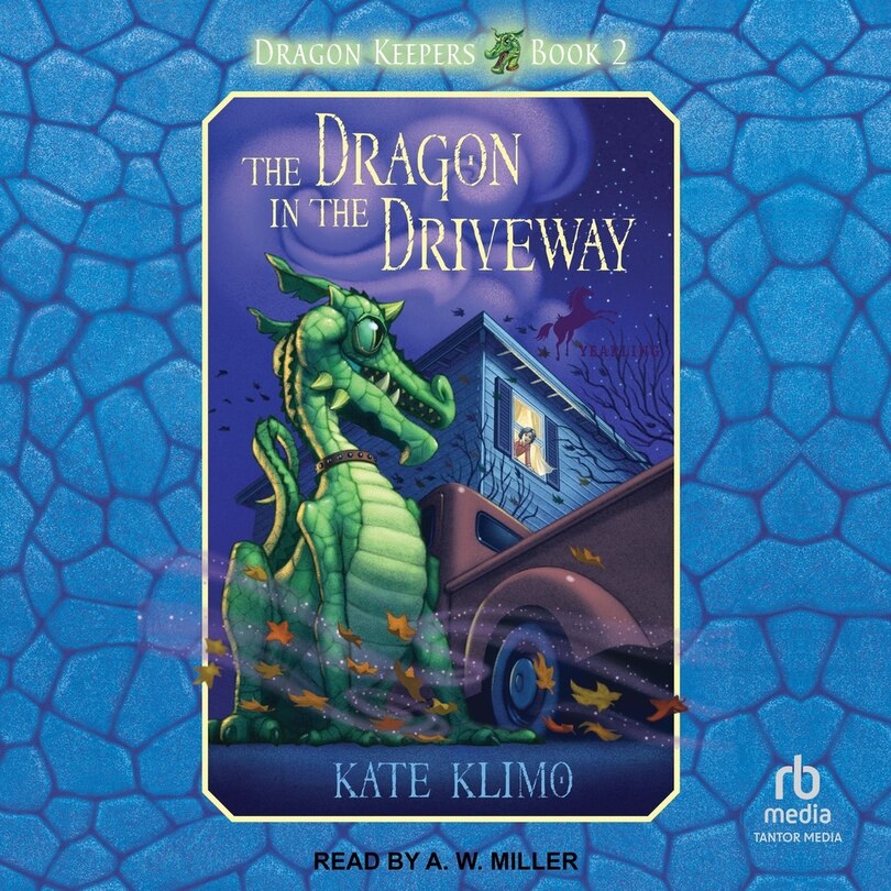 Front cover_The Dragon in the Driveway