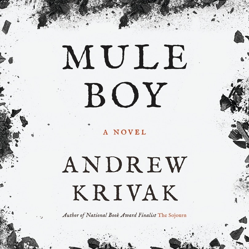 Couverture_Mule Boy