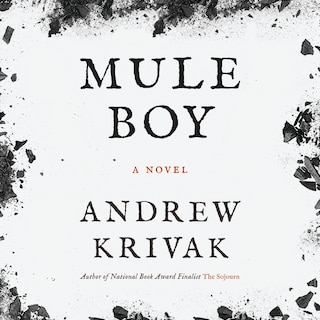Couverture_Mule Boy